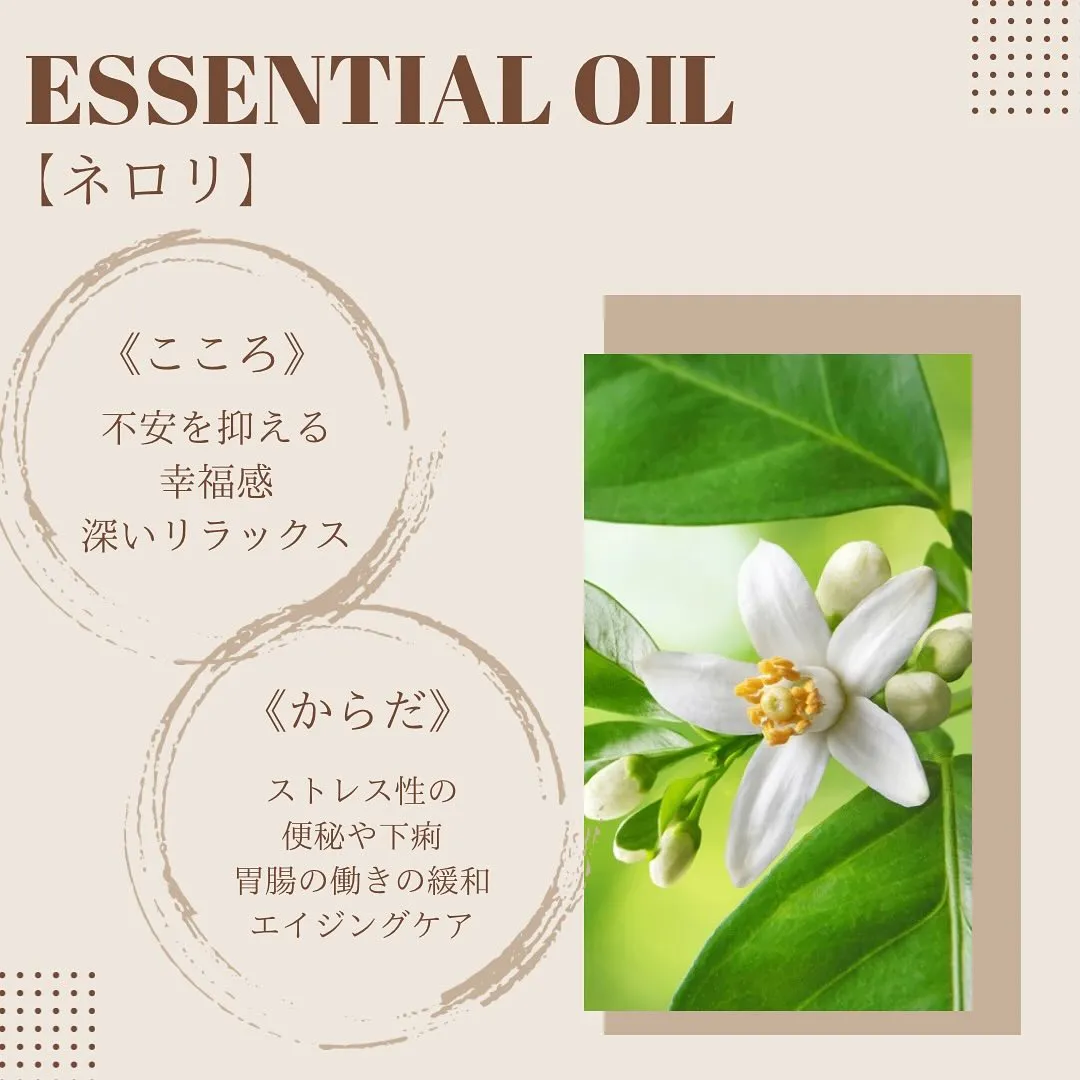 【使用アロマ精油ご紹介🤍】