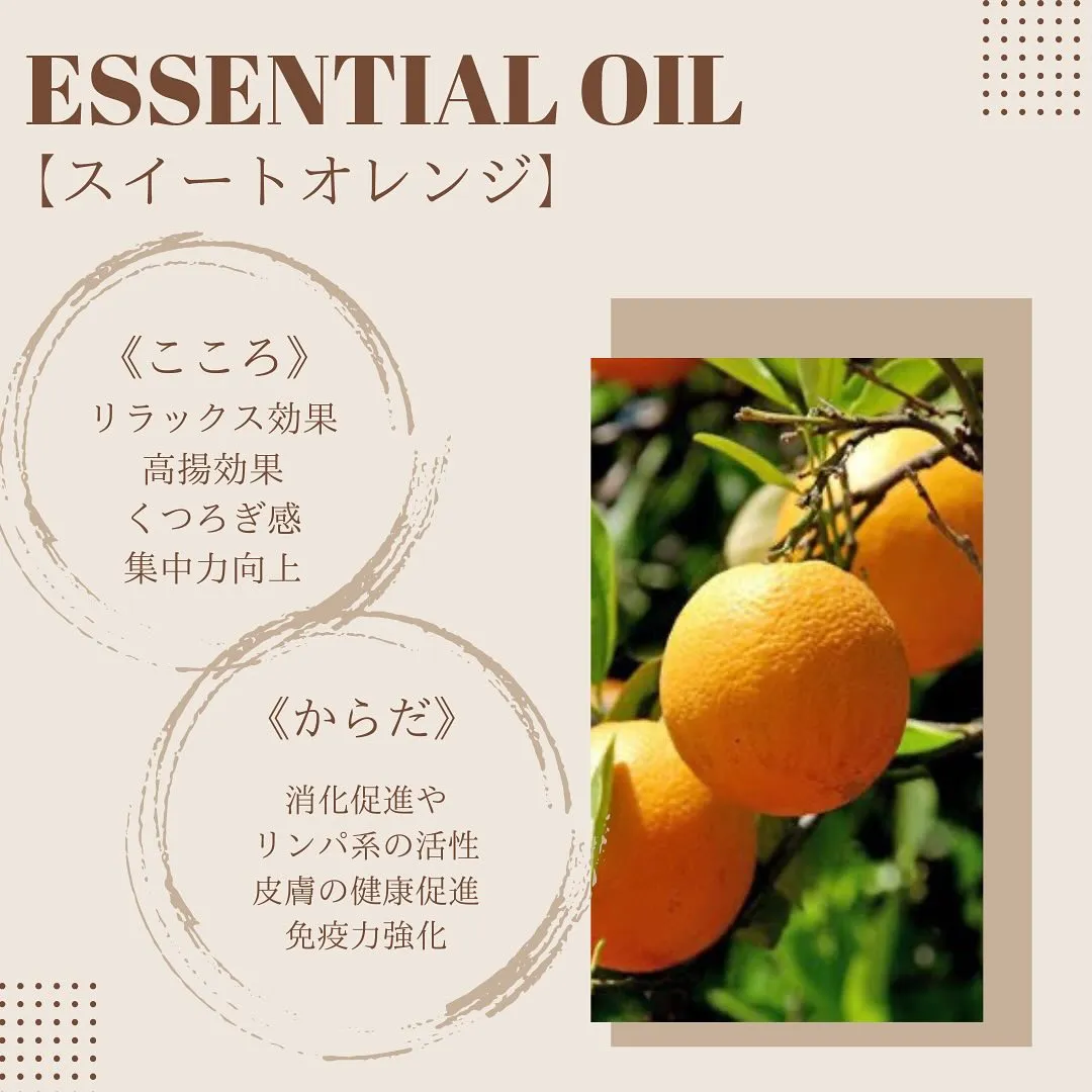 【使用アロマ精油ご紹介🤍】スイートオレンジ