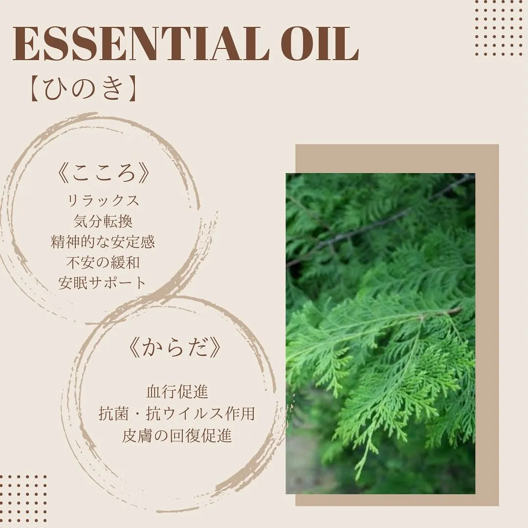 【ひのき🌲】使用アロマご紹介♪