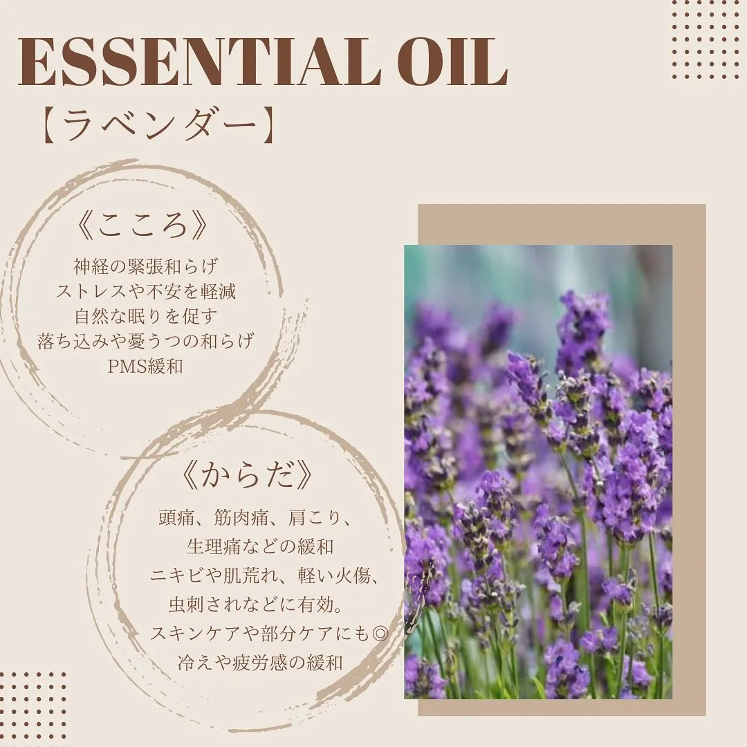 🪻✨【ラベンダー精油のご紹介】✨🪻