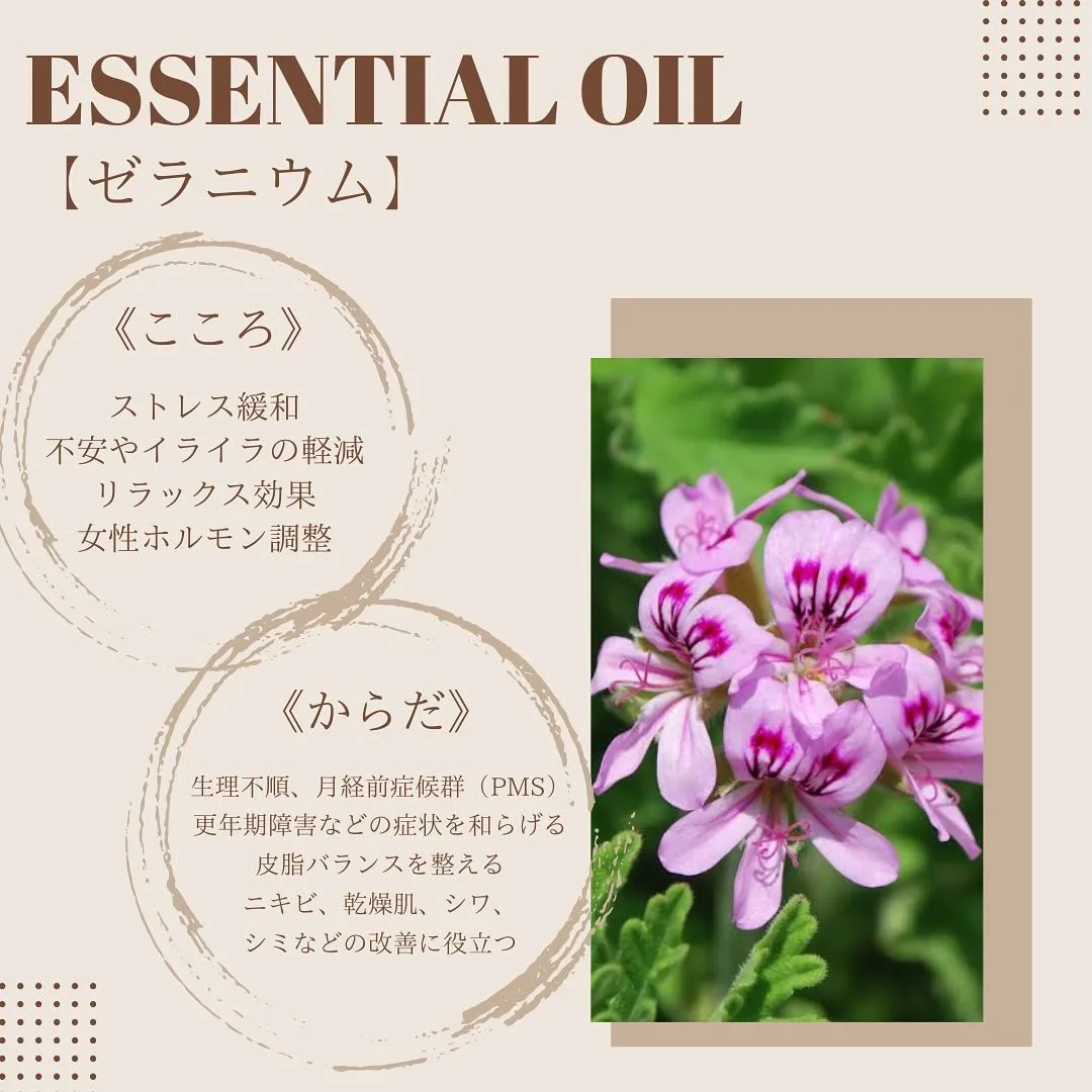 【ゼラニウム精油の魅力】
